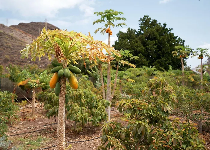 Ecologica Quinta Tizones 别墅