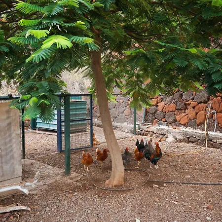 빌라 Ecologica Quinta Tizones, Casa Aguacate *