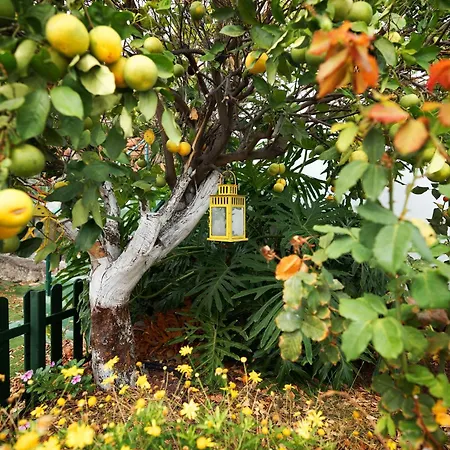 빌라 Ecologica Quinta Tizones, Casa Aguacate