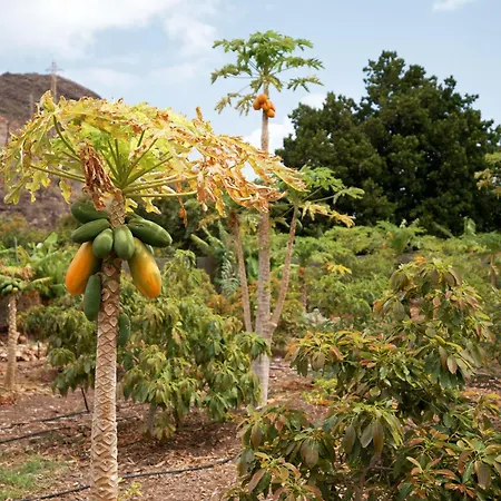 Ecologica Quinta Tizones, Casa Aguacate 빌라
