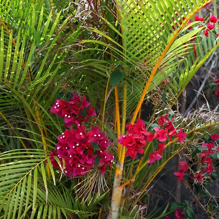 빌라 Ecologica Quinta Tizones, Casa Aguacate