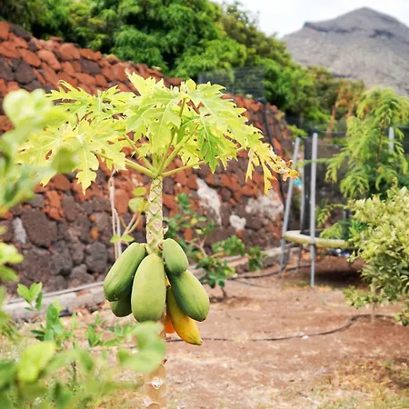 빌라 Ecologica Quinta Tizones, Casa Aguacate *