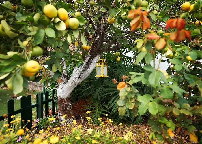 Villa Ecológica Quinta Tizones