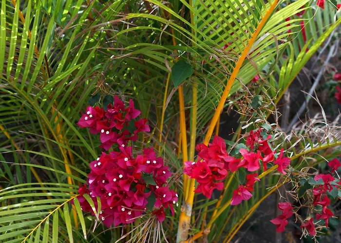 Villa Ecológica Quinta Tizones