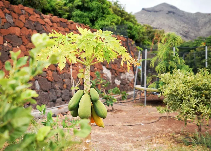 Villa Ecológica Quinta Tizones *