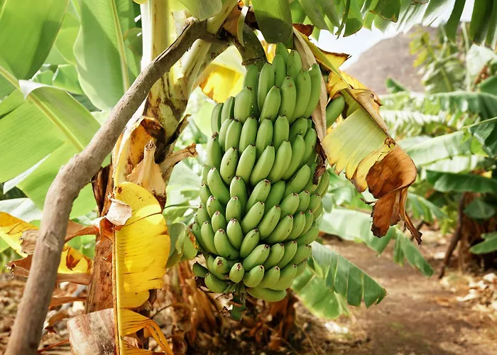 Villa Ecológica Quinta Tizones