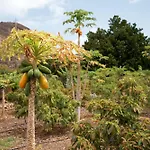 Ecologica Quinta Tizones Villa