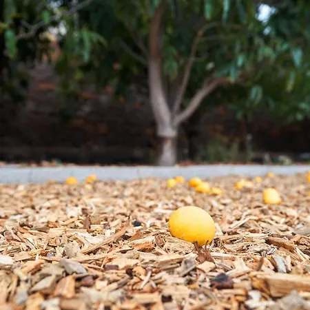 Villa Ecologica Quinta Tizones *