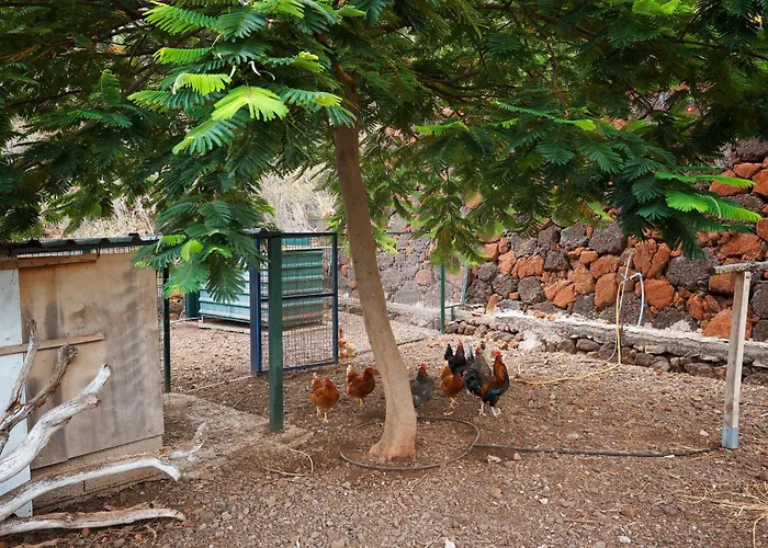 Villa Ecologica Quinta Tizones *