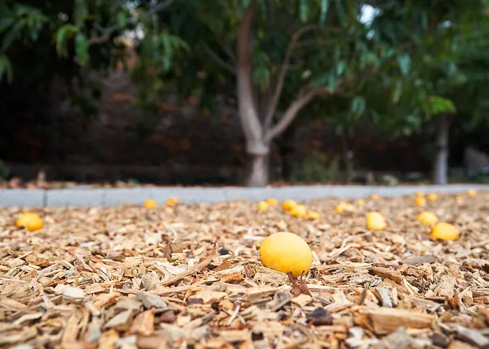 Villa Ecologica Quinta Tizones *